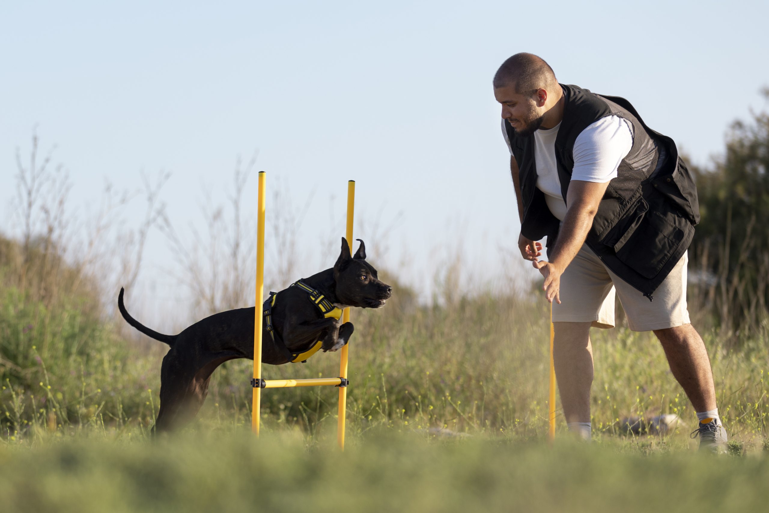 TailPro For pet training (1)
