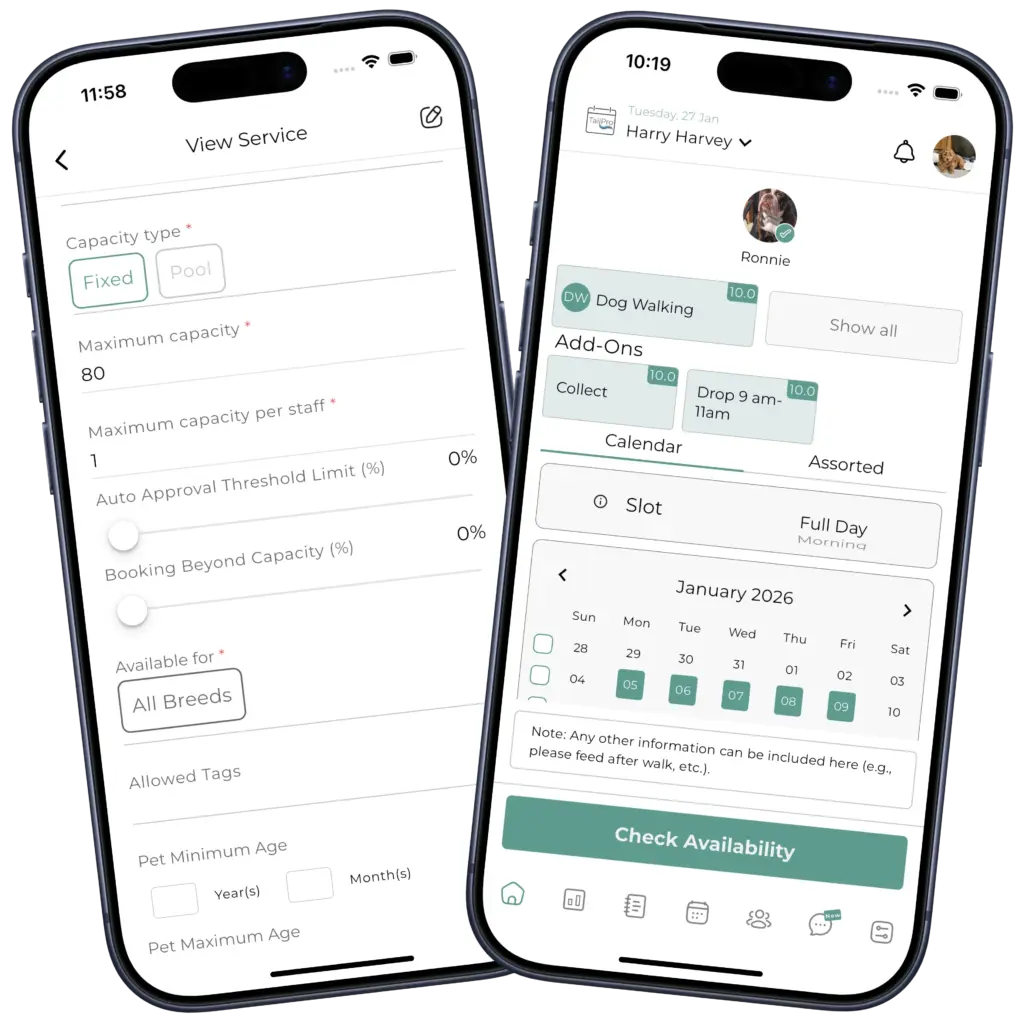 Pet Walking pet walking hero banner (1)